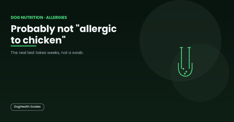 Probably not "allergic to chicken" -- illustrative hero image