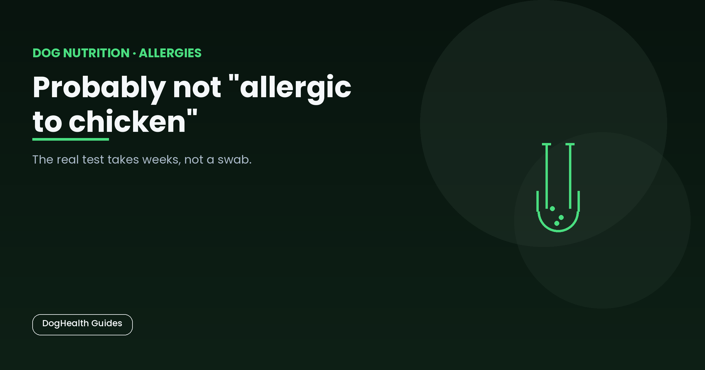 Probably not "allergic to chicken" -- illustrative hero image