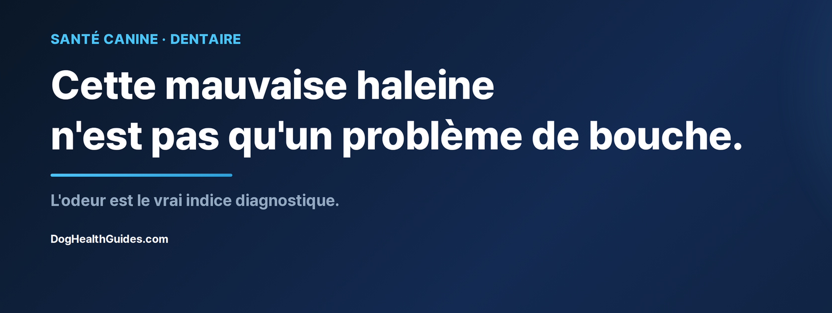 La mauvaise haleine de votre chien peut être un message sur sa santé, pas juste une gêne