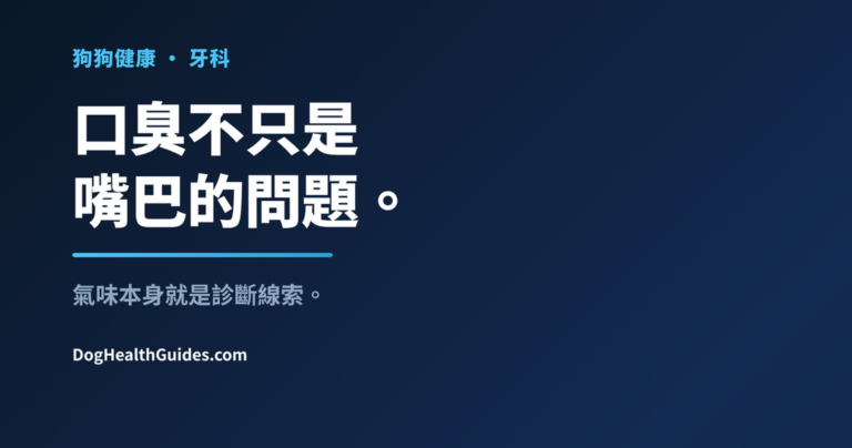 張嘴的狗狗，展示持續口臭作為診斷線索