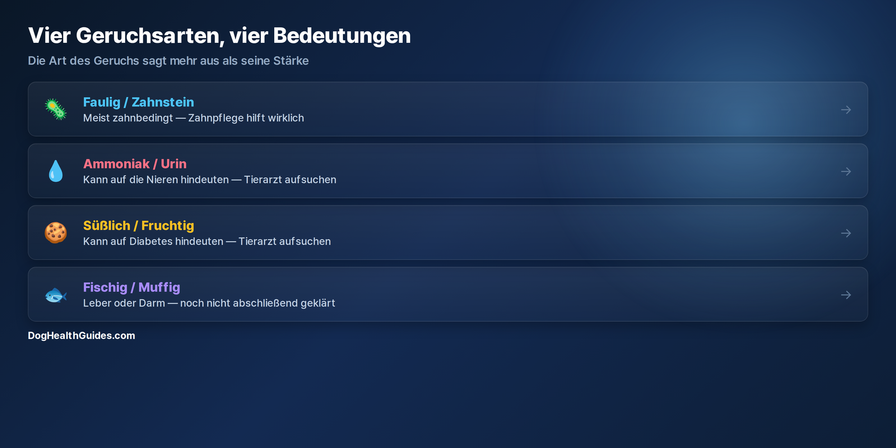 Vier Geruchsarten und ihre moegliche Bedeutung