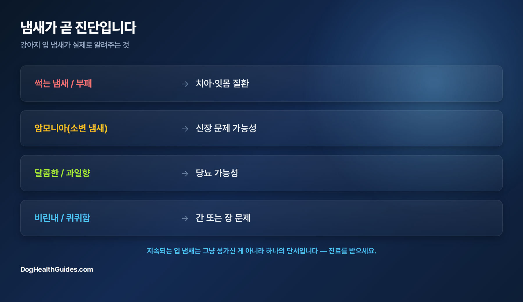 냄새 종류별 원인 도표: 썩는 냄새는 치주질환, 암모니아 냄새는 신장, 단 냄새는 당뇨, 비린 냄새는 간이나 장