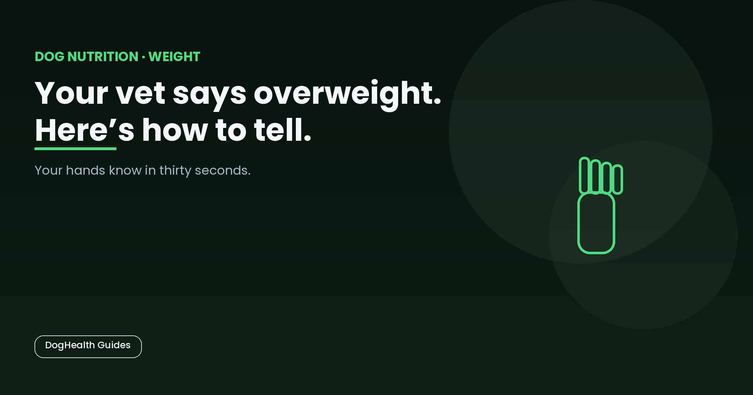 Your vet says overweight. Here's how to tell. -- illustrative hero image