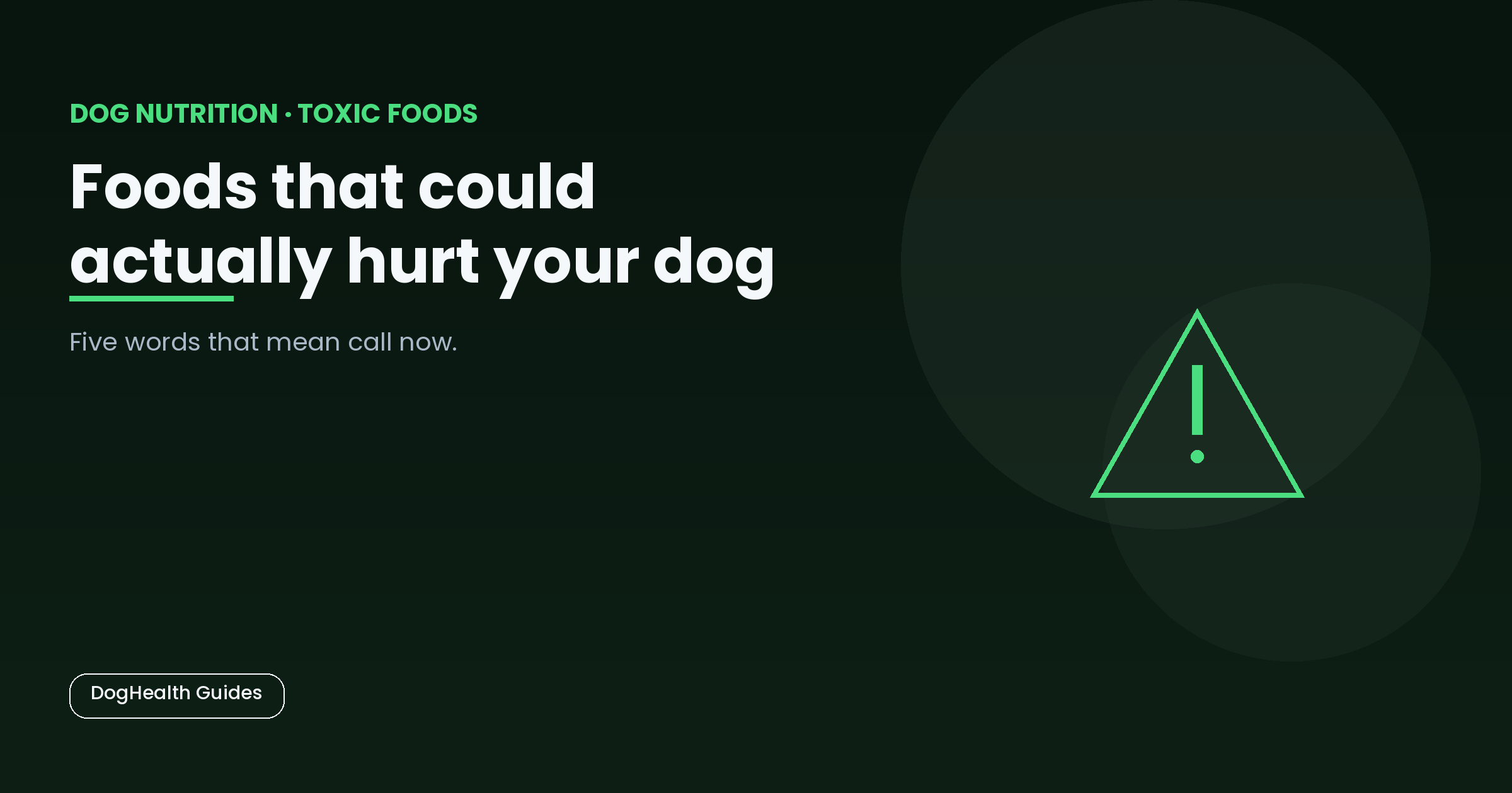 Foods that could actually hurt your dog -- illustrative hero image