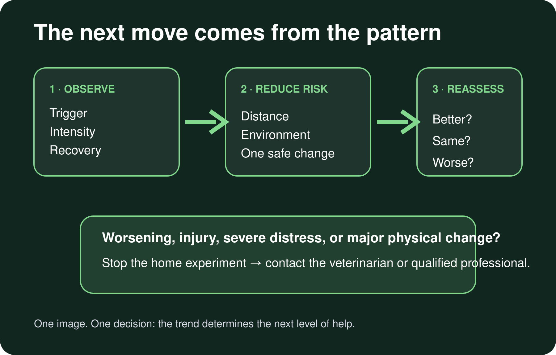 Decision path from observation to safe action and professional escalation