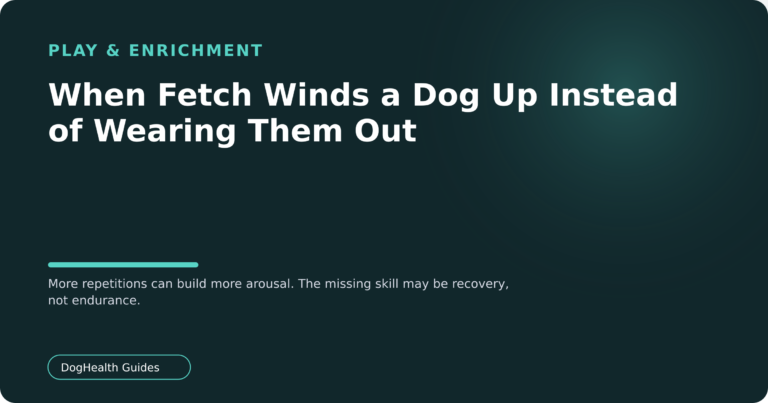 When Fetch Winds a Dog Up Instead of Wearing Them Out — More repetitions can build more arousal. The missing skill may be recovery, not endurance.