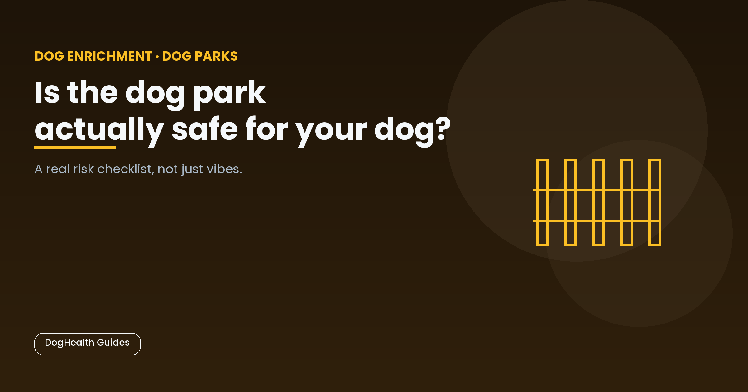 Is the dog park actually safe for your dog? -- illustrative hero image