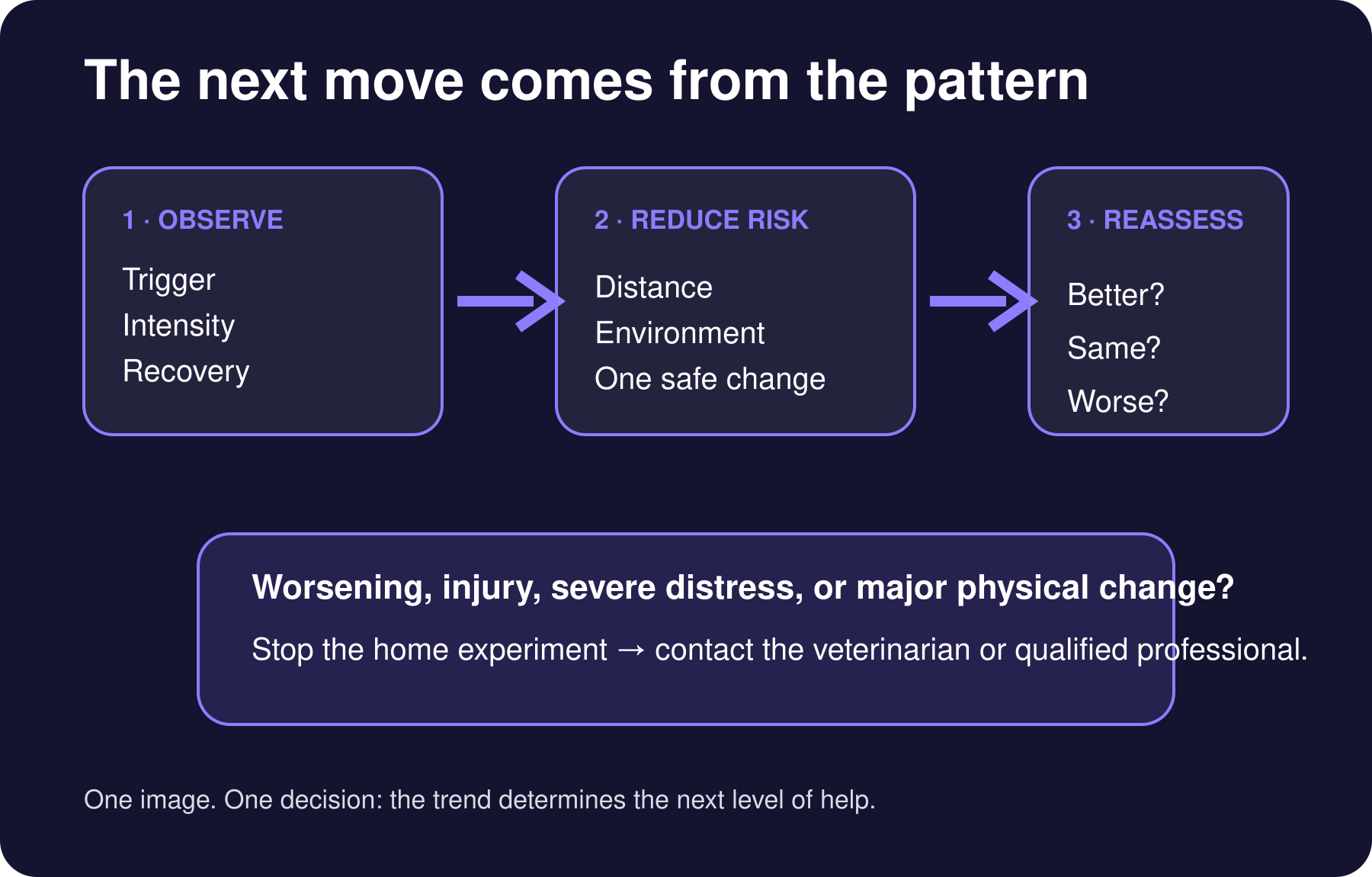 Decision path from observation to safe action and professional escalation