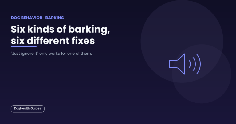 Six kinds of barking, six different fixes -- illustrative hero image