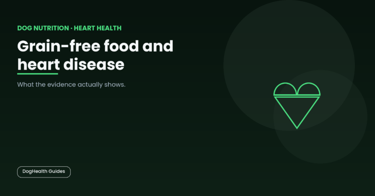 Grain-free food and heart disease -- illustrative hero image