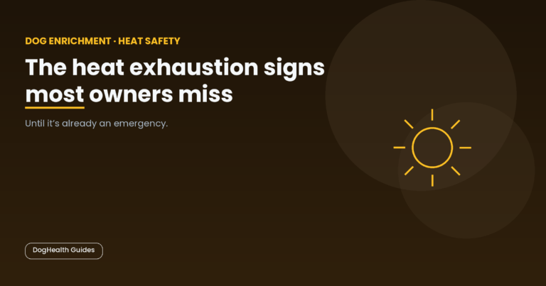 The heat exhaustion signs most owners miss -- illustrative hero image