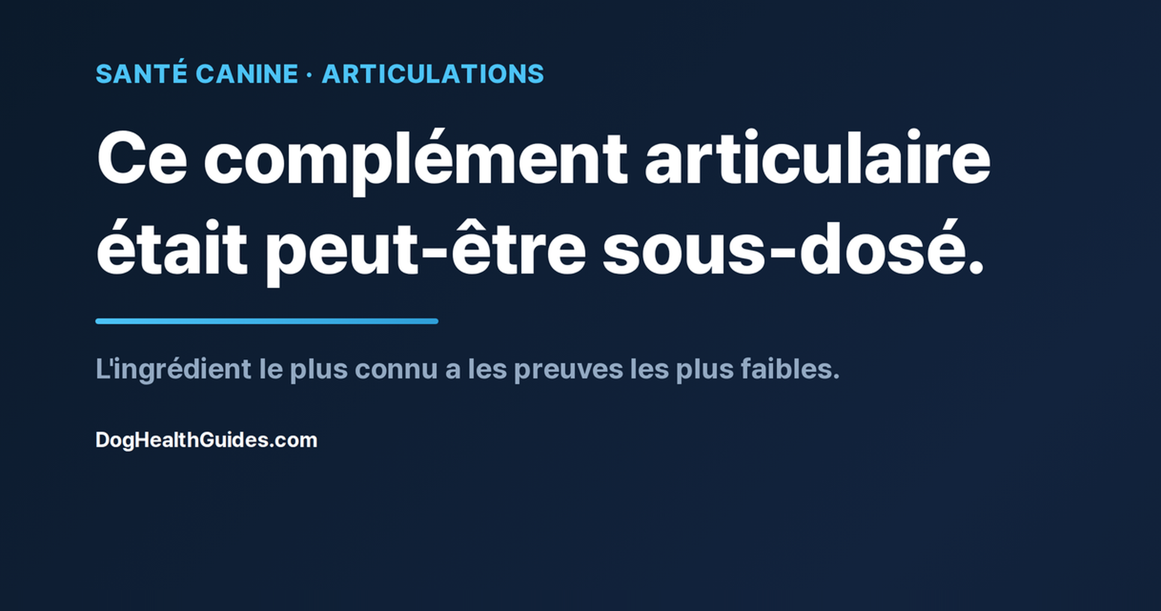 Chien âgé aux articulations raides, illustrant un complément articulaire qui ne fonctionne peut-être pas