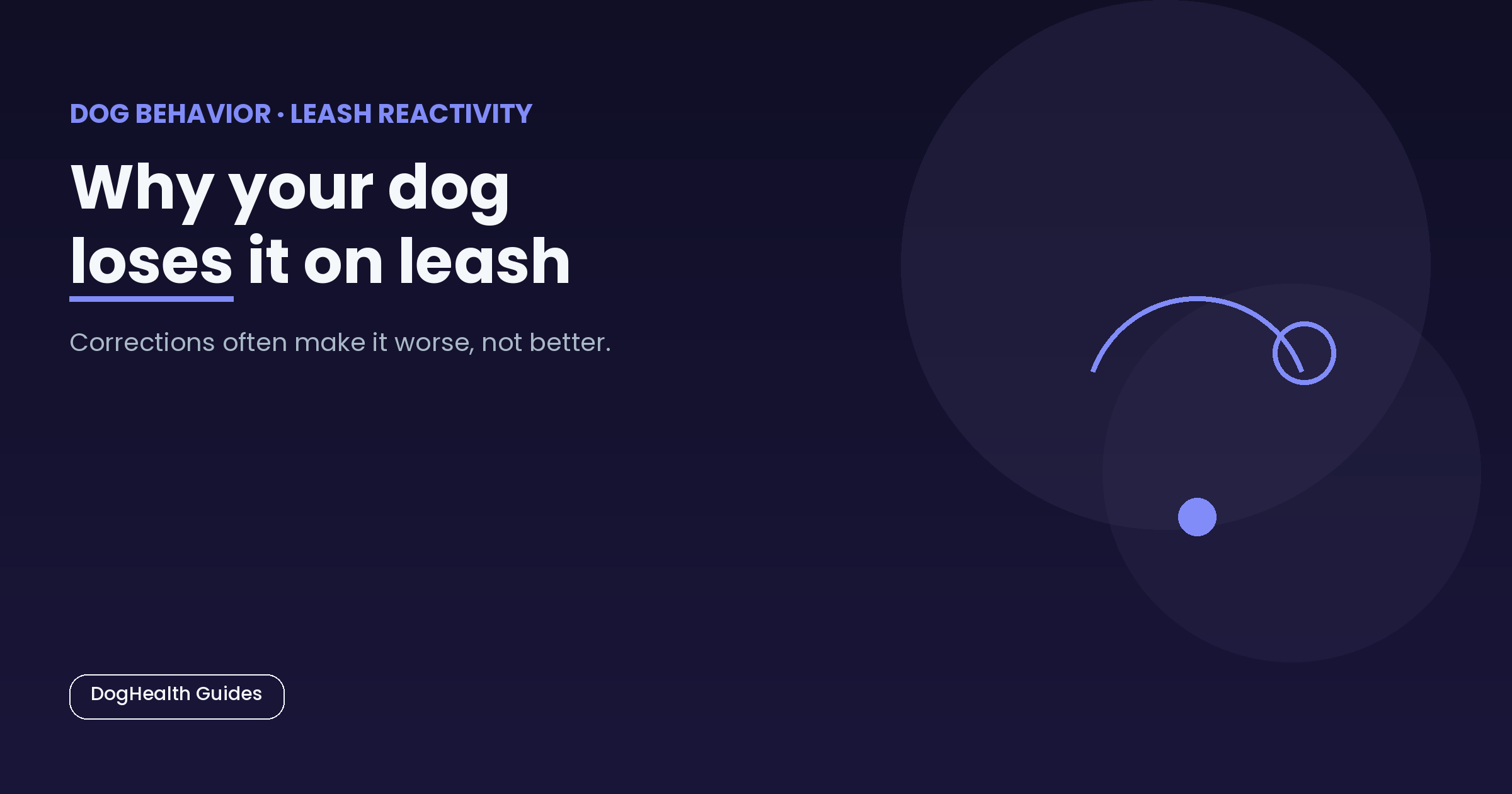 Why your dog loses it on leash -- illustrative hero image