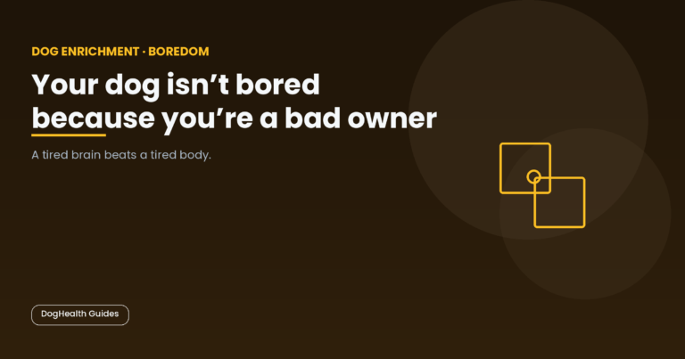 Your dog isn't bored because you're a bad owner -- illustrative hero image