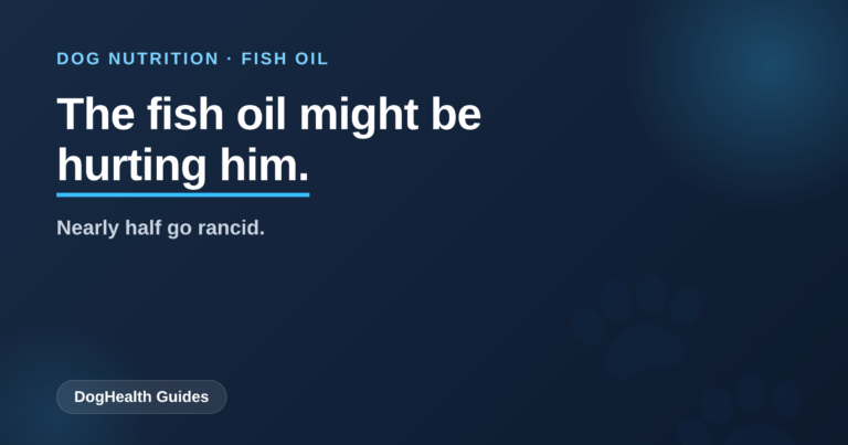 Your Dog’s Fish Oil Might Be Rancid (and Why That’s Worse Than None)