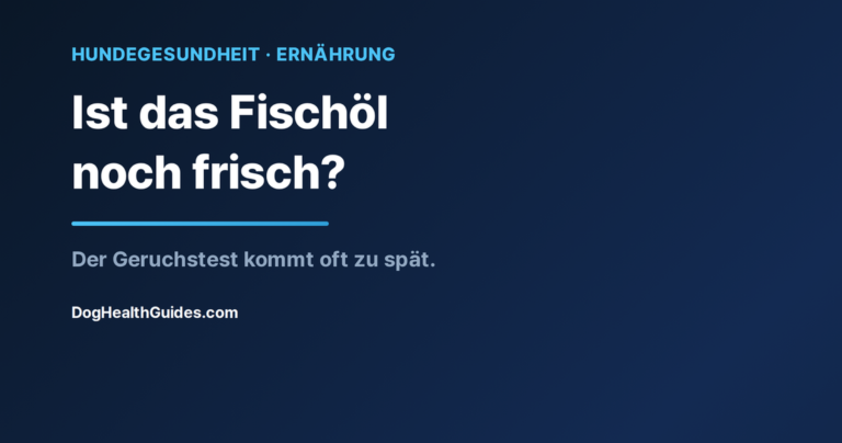 Fischölflasche neben einem Napf, veranschaulicht das Ranzigkeitsrisiko von Omega-3-Präparaten