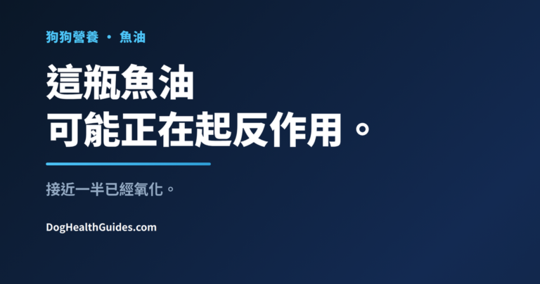 食盆旁的魚油瓶，展示Omega-3補充劑變質的風險