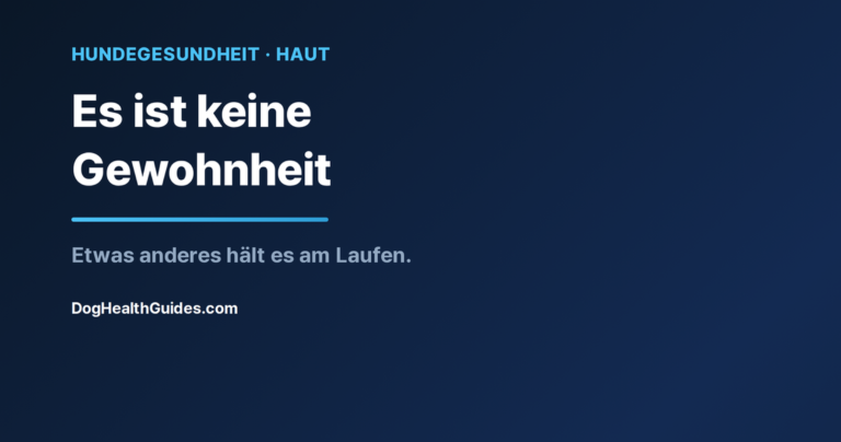 Hund leckt wiederholt an einer Pfote, veranschaulicht chronisches Pfotenlecken als Symptom, nicht als Angewohnheit