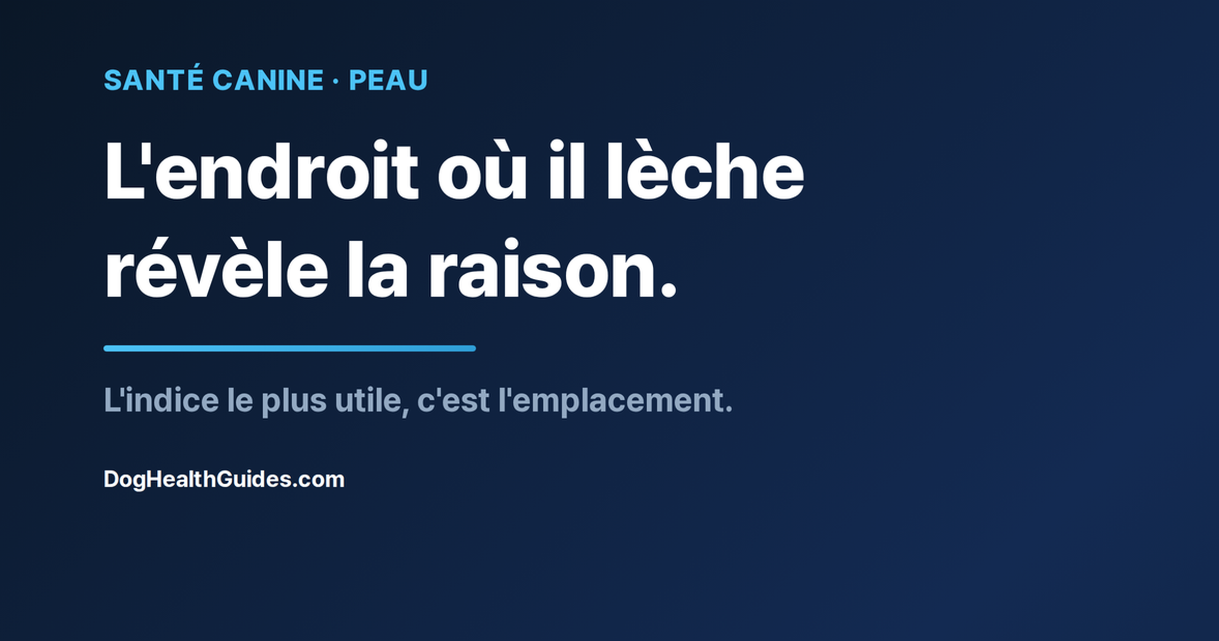 Chien léchant une patte de façon répétée, illustrant le léchage chronique comme symptôme, pas comme habitude