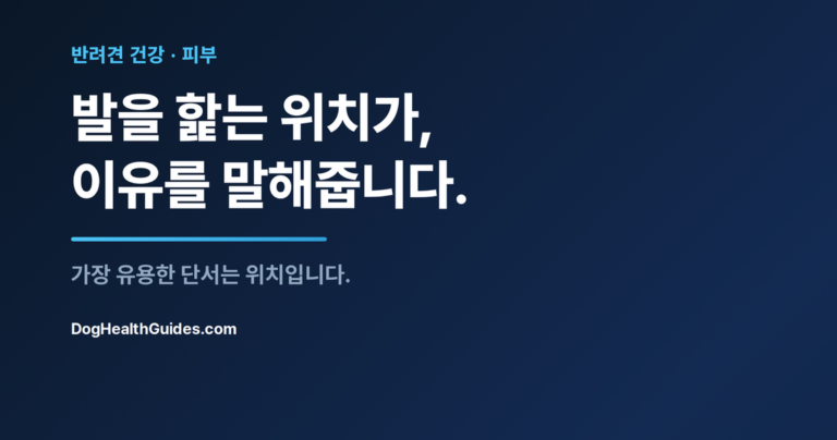 한쪽 발을 반복해서 핥는 강아지, 만성 발 핥기가 습관이 아니라 증상임을 나타냄