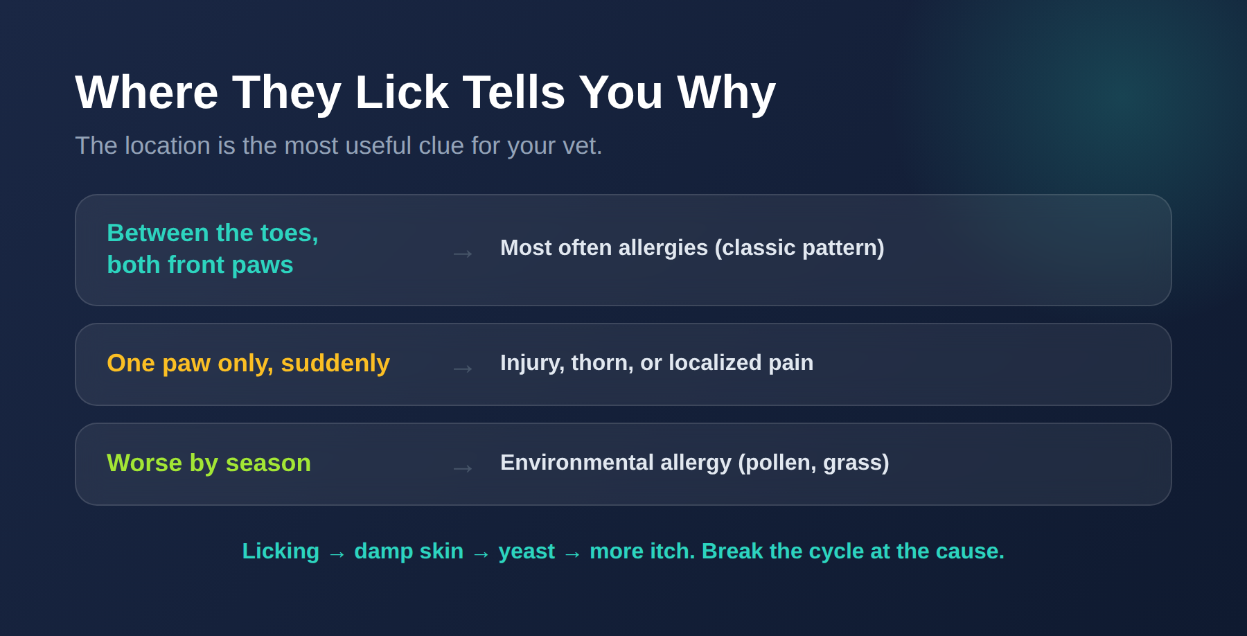 Paw-licking location guide: between the toes means allergy, one paw means injury