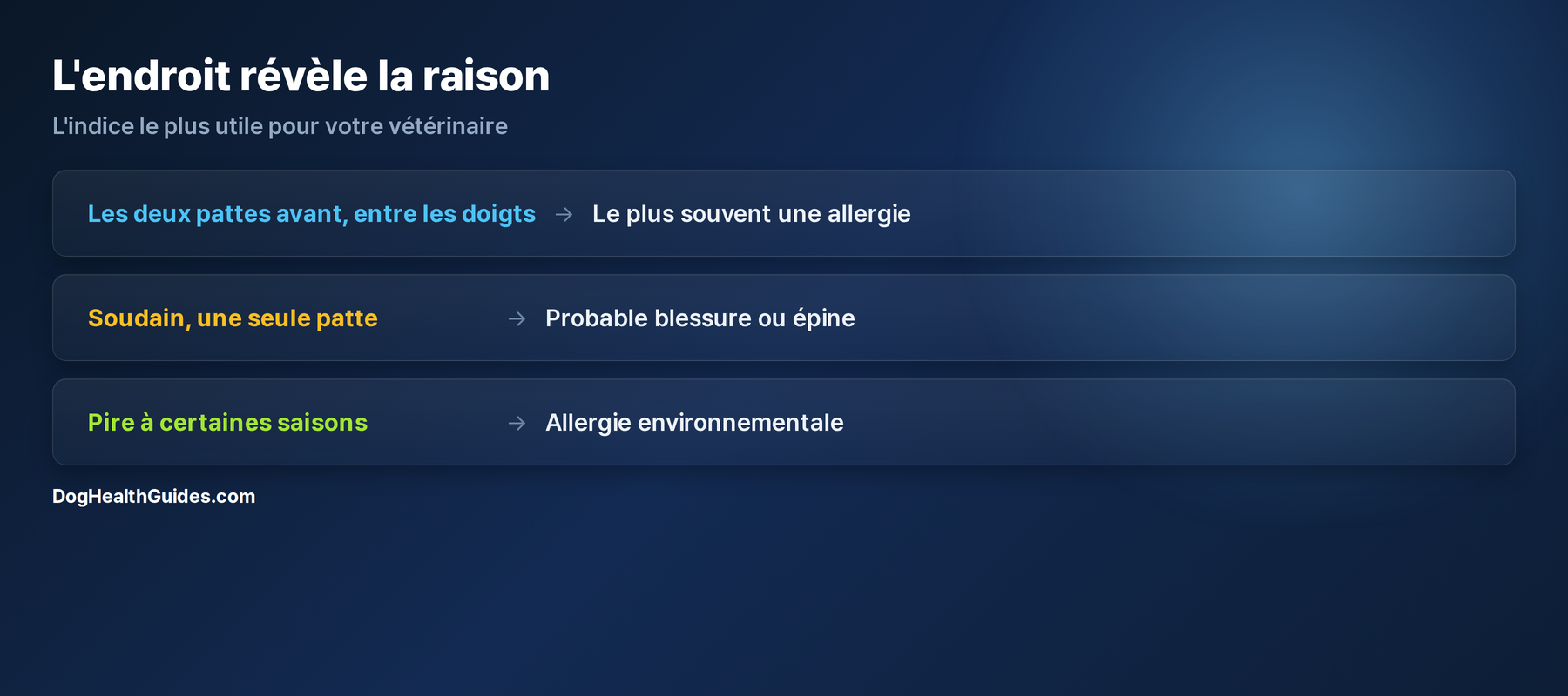 Guide de localisation du léchage des pattes : entre les doigts = allergie, une seule patte = blessure