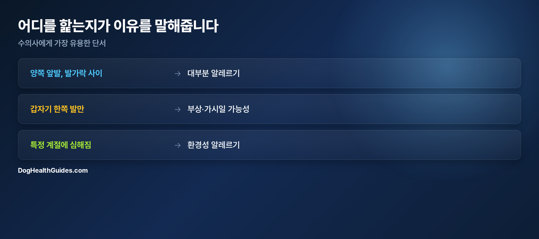 발 핥기 위치별 가이드: 발가락 사이는 알레르기, 한쪽 발만은 부상