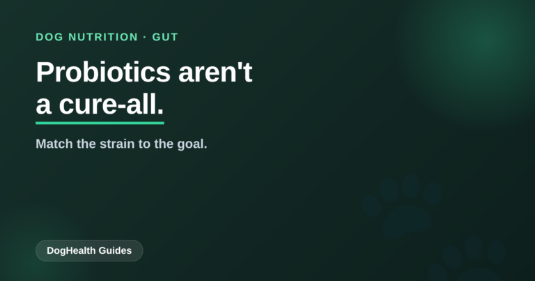Dog Probiotics Aren’t a Cure-All — Match the Strain to the Goal