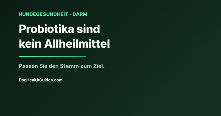 Hund neben dem Napf mit einem Probiotikum, veranschaulicht die Bedeutung der Stammwahl