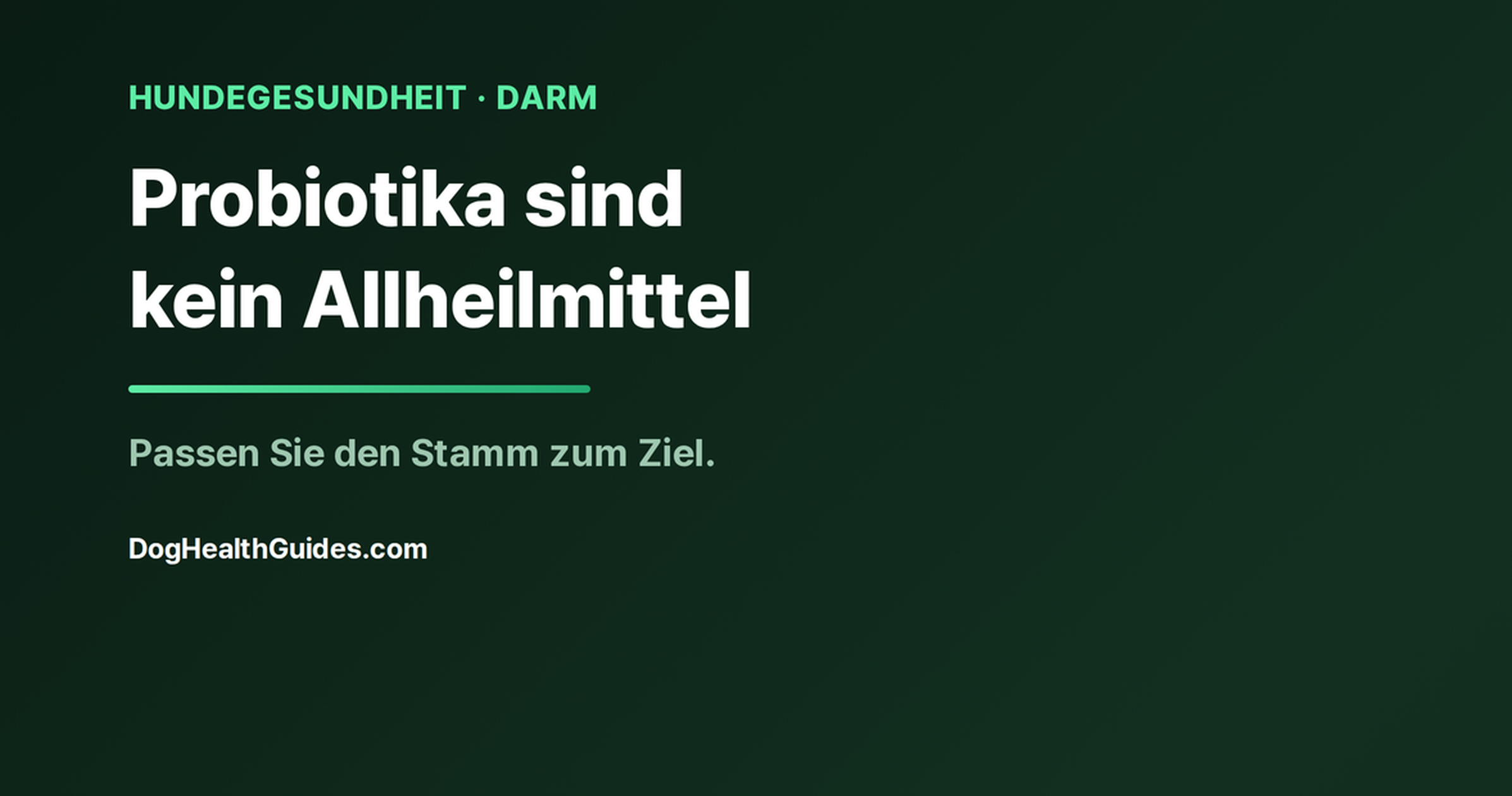 Hund neben dem Napf mit einem Probiotikum, veranschaulicht die Bedeutung der Stammwahl