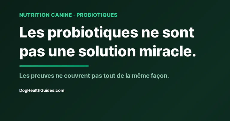 Chien près d'une gamelle avec un complément probiotique, illustrant le choix de la souche
