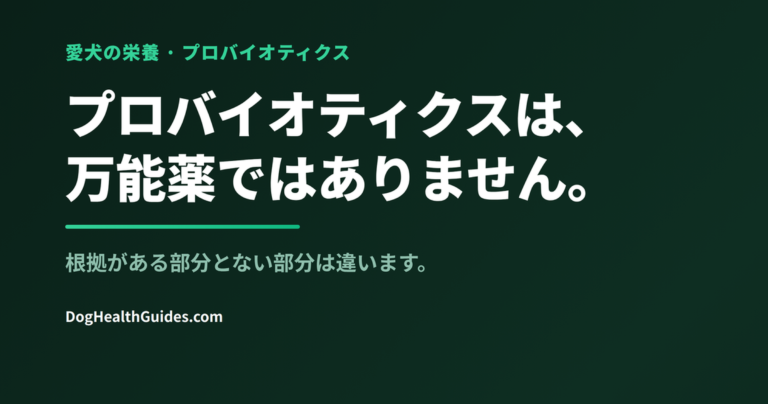フードボウルの横にあるプロバイオティクスのサプリ、菌株選びの重要性を表す