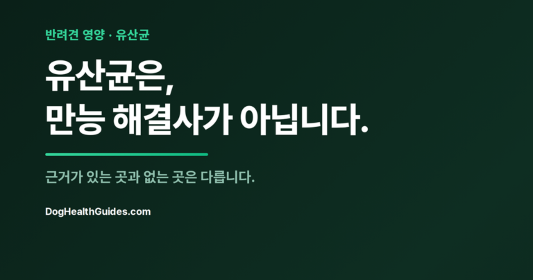 밥그릇 옆의 유산균 보충제, 균주 선택의 중요성을 나타냄