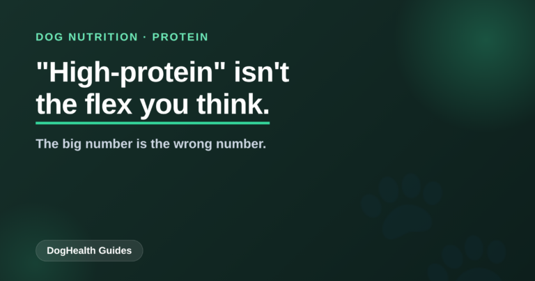 Dog Food Protein: Why High-Protein Isn’t the Flex You Think
