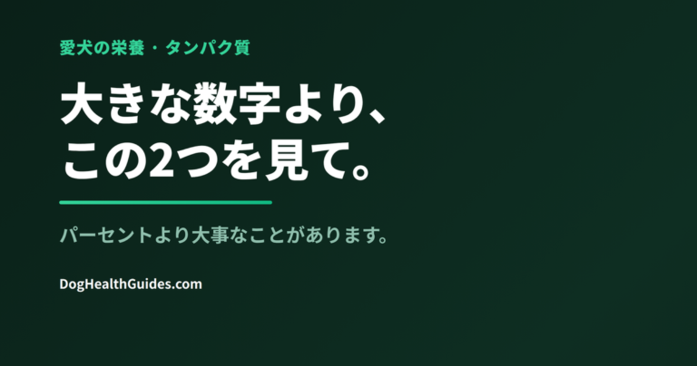 タンパク質の割合が丸で囲まれたドッグフードのラベル、高タンパク神話を表す
