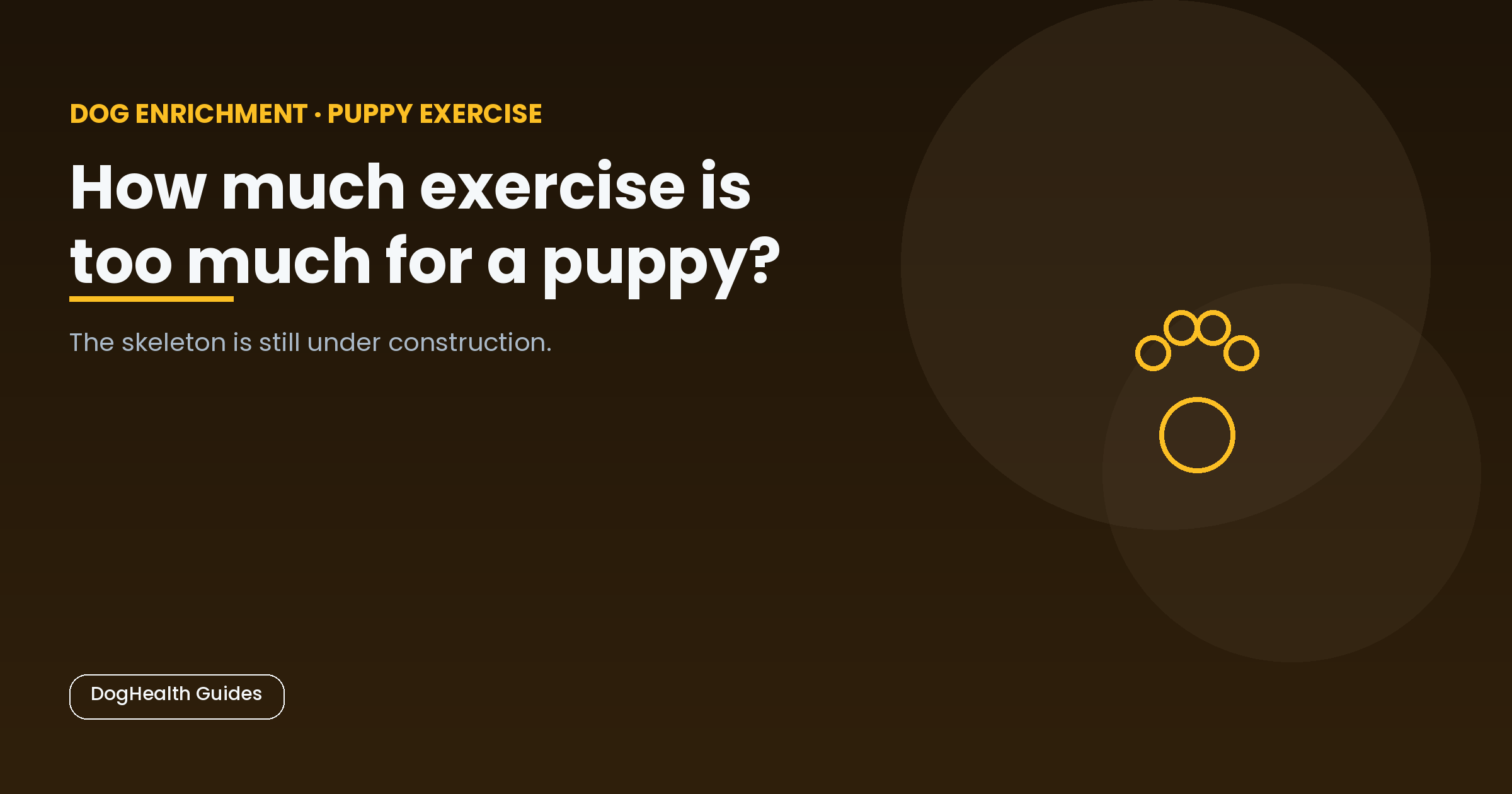 How much exercise is too much for a puppy? -- illustrative hero image