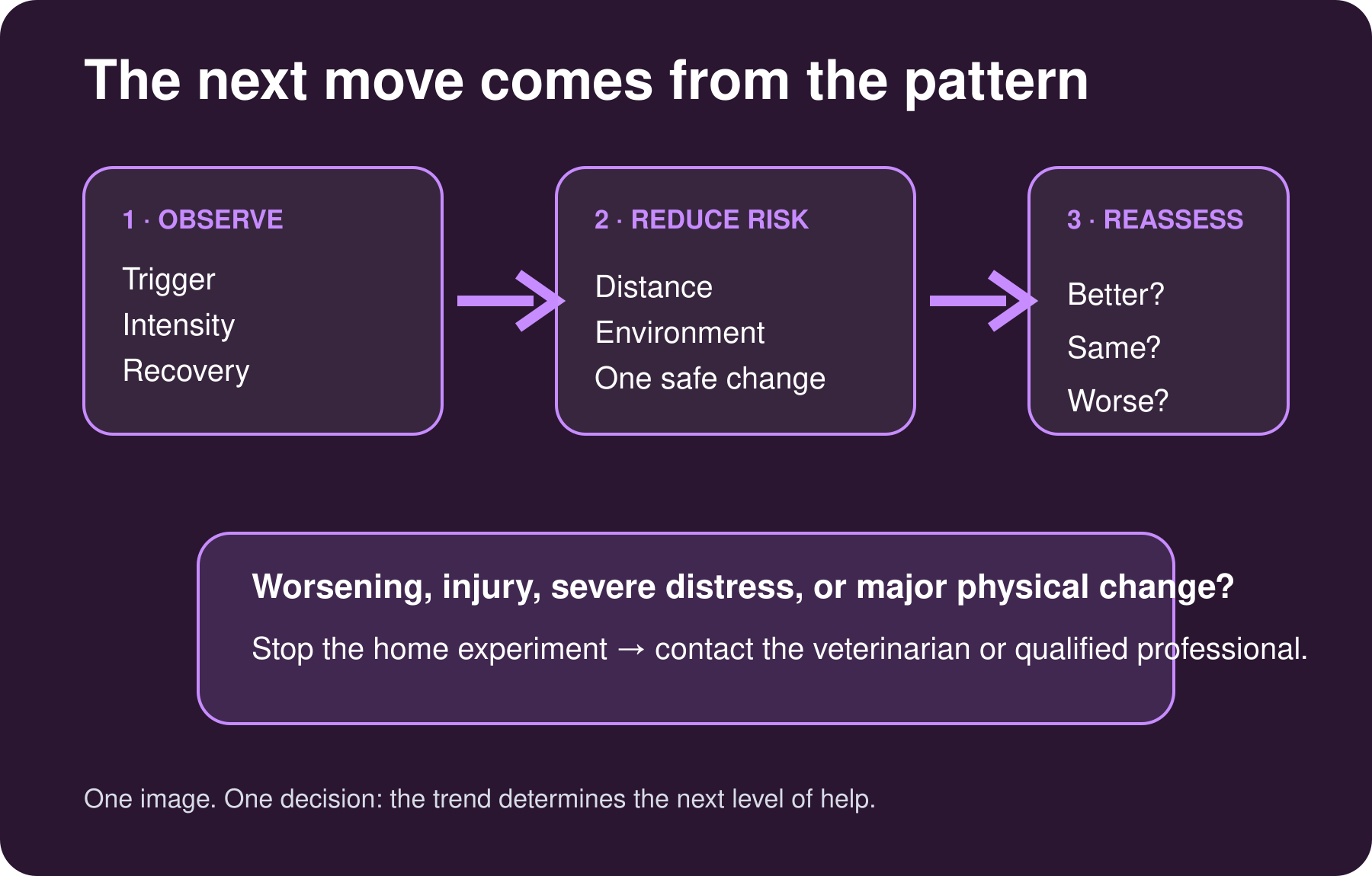 Decision path from observation to safe action and professional escalation