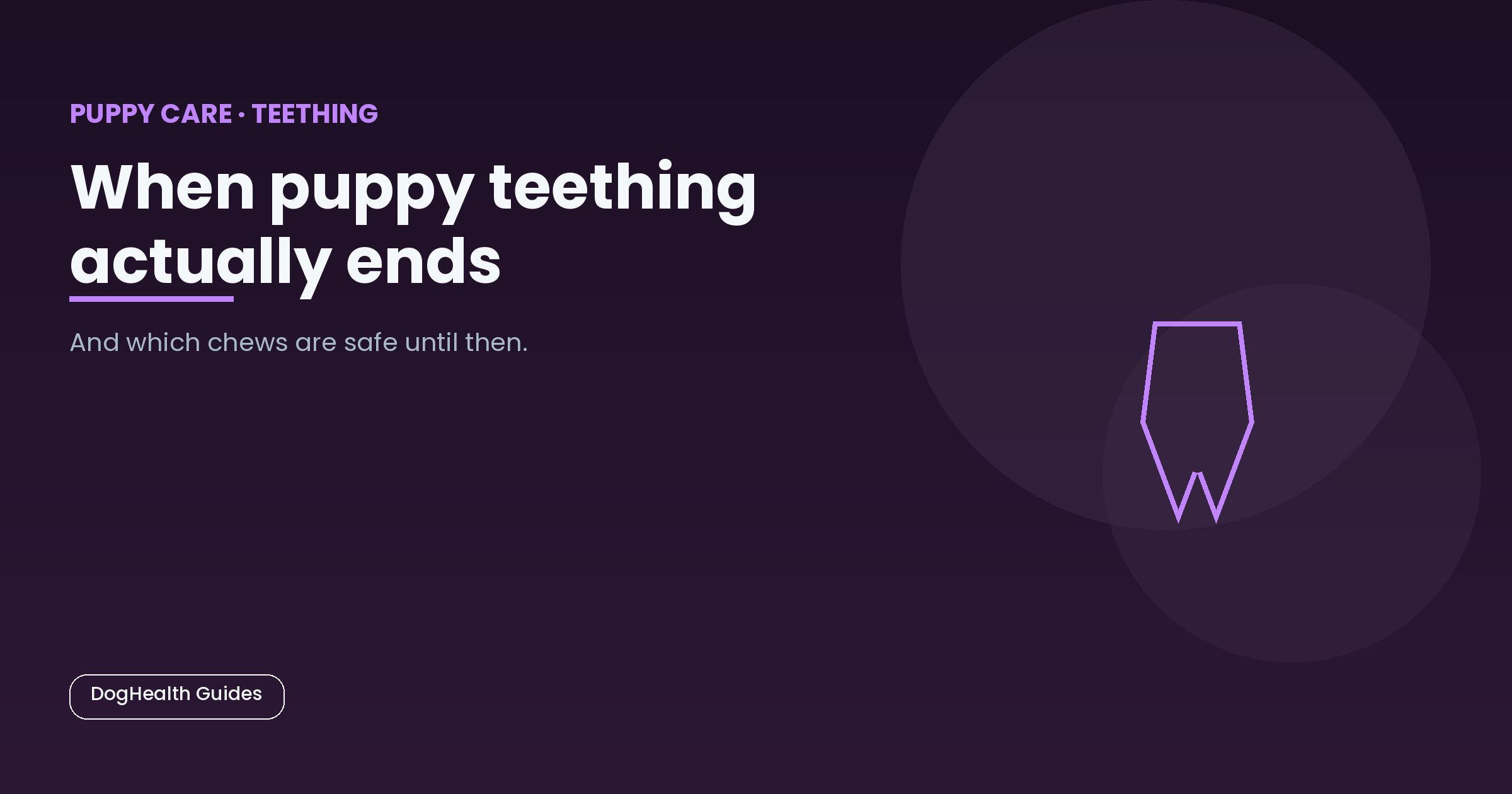 When puppy teething actually ends -- illustrative hero image