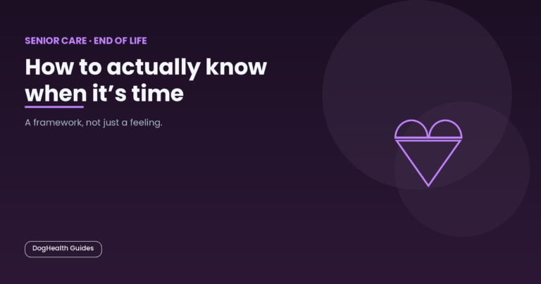 How to actually know when it's time -- illustrative hero image