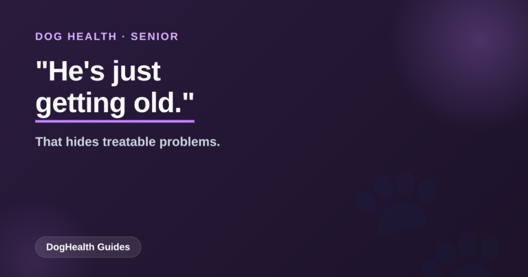 He’s Just Getting Old: The Senior-Dog Signs You Shouldn’t Ignore