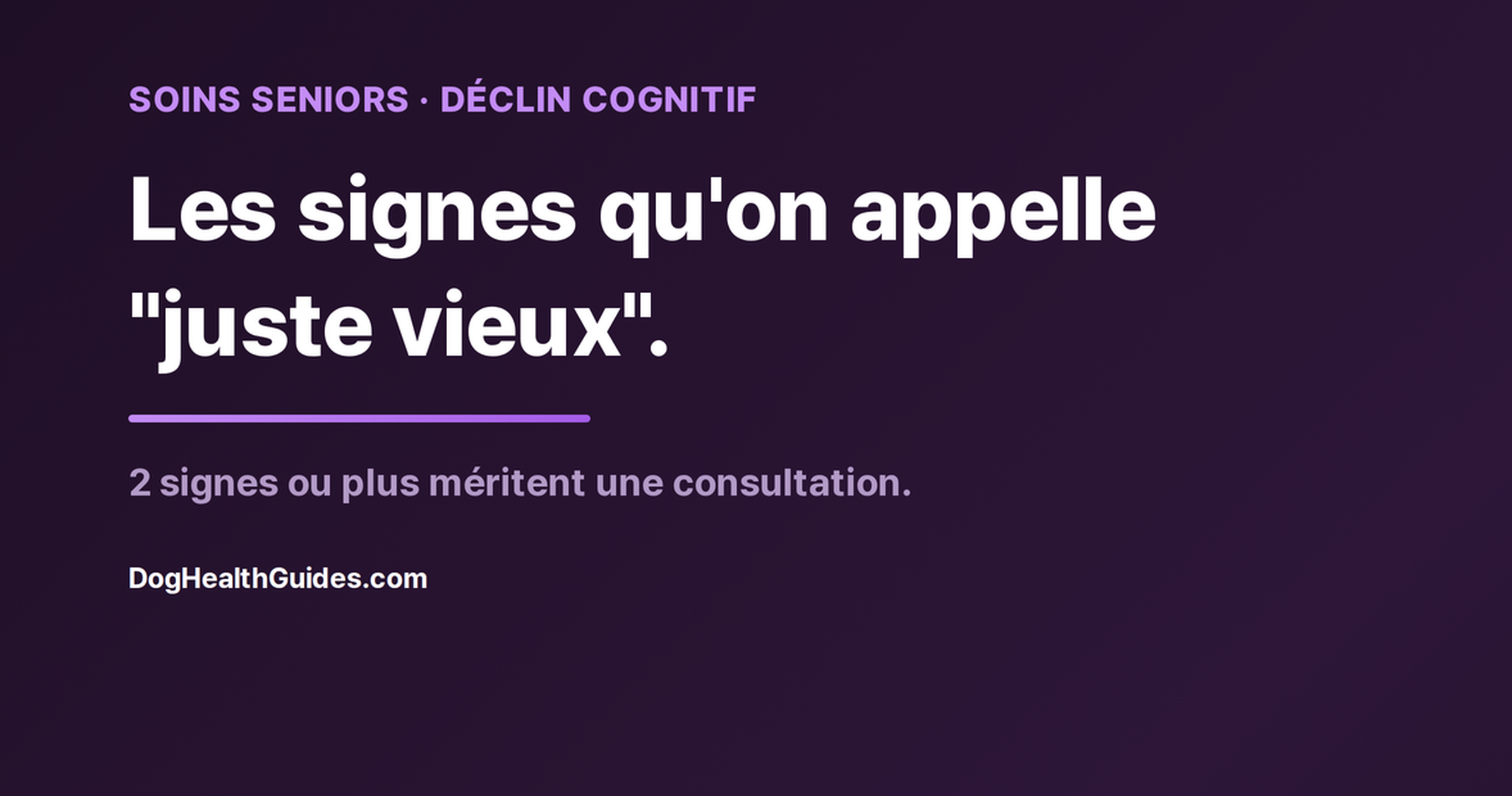 Chien âgé au repos, illustrant des signes souvent attribués à l'âge mais potentiellement traitables