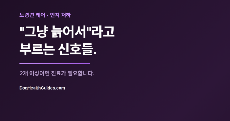 쉬고 있는 노령견, 나이 탓으로 여겨지지만 실제로는 치료 가능한 신호를 나타냄