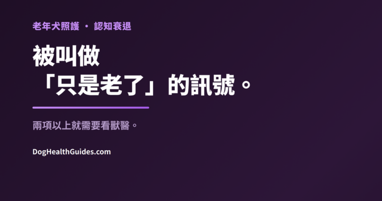 正在休息的老年犬，展示常被歸咎於年齡、實則可能可以治療的信號