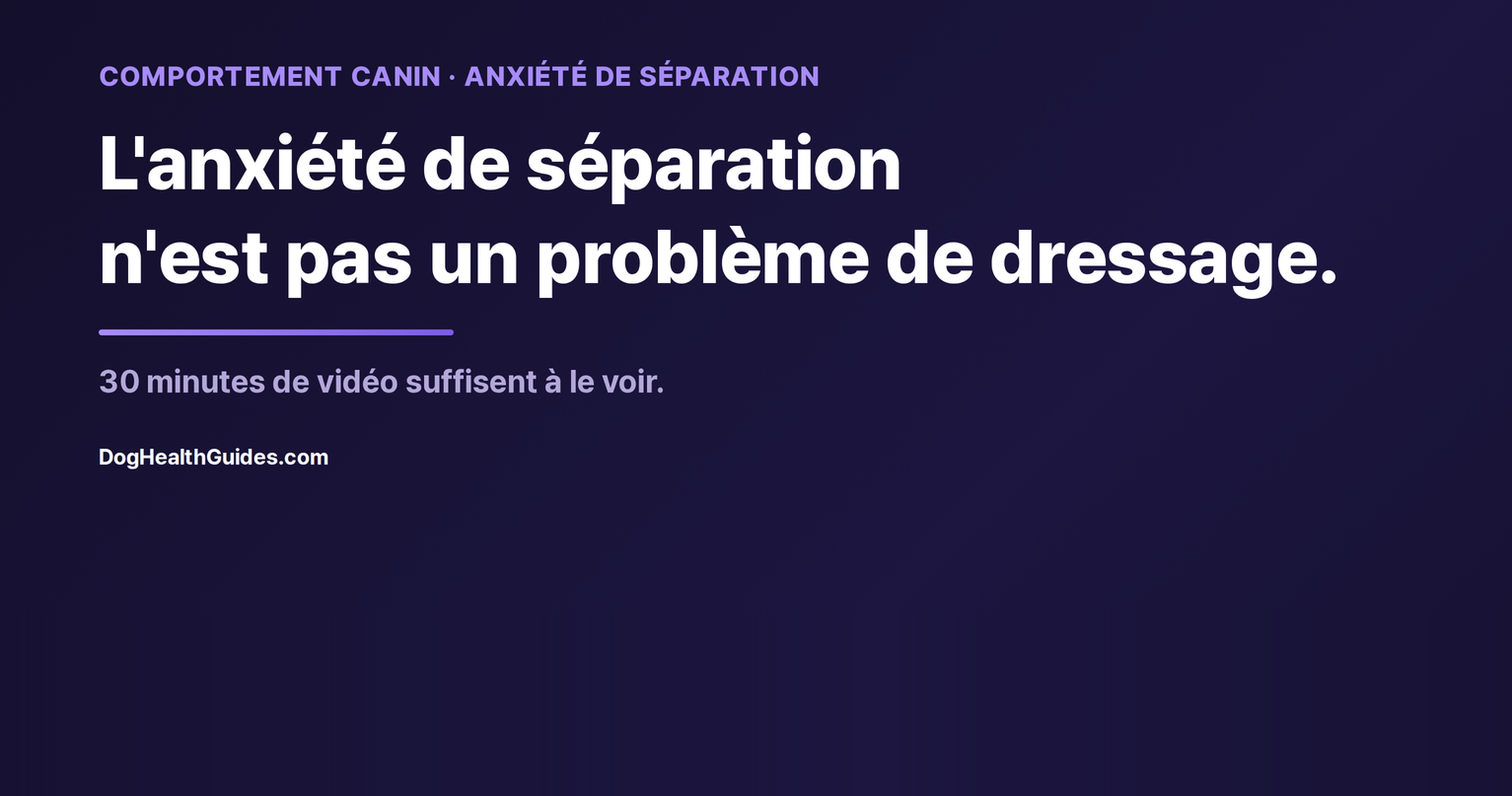 Chien seul à la maison montrant des signes de détresse, illustrant la vraie anxiété de séparation face au simple ennui