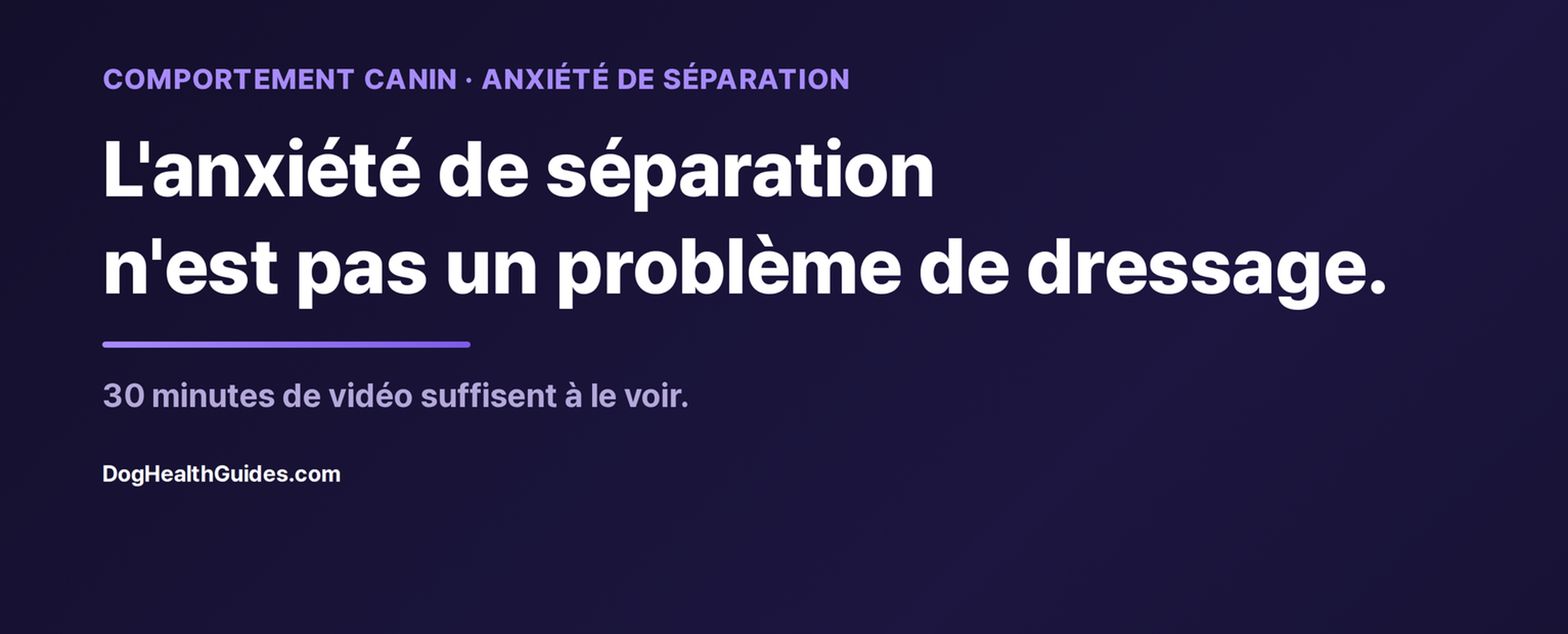 L'anxiété de séparation chez le chien est une panique, pas un problème de comportement