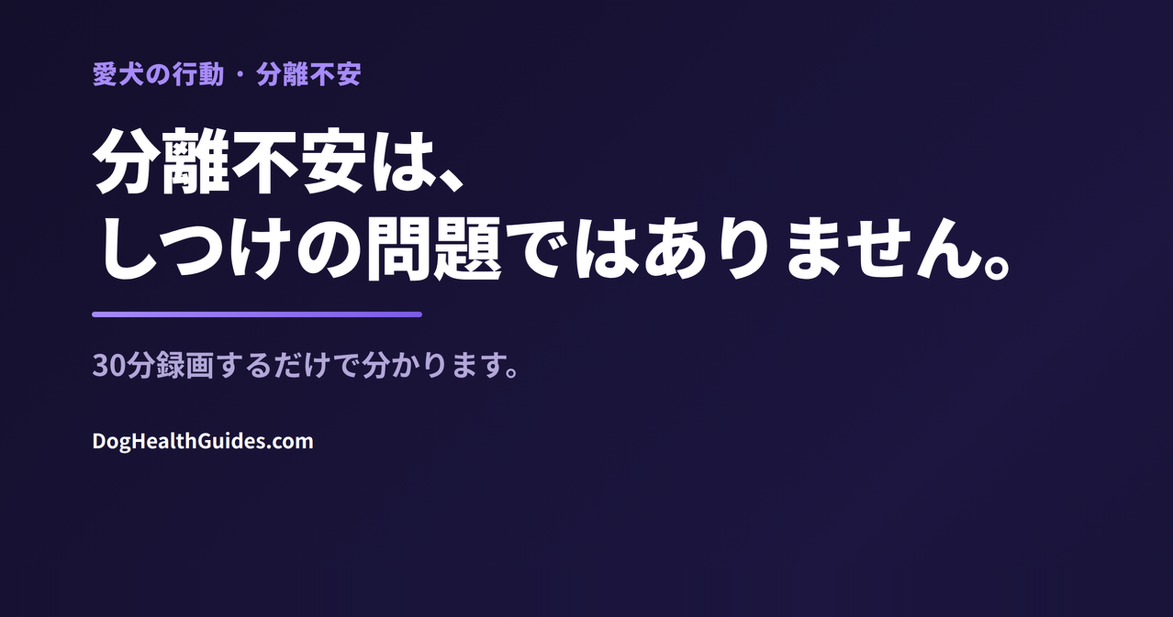 留守番中に不安そうな犬、本当の分離不安と単なる退屈の違いを表す