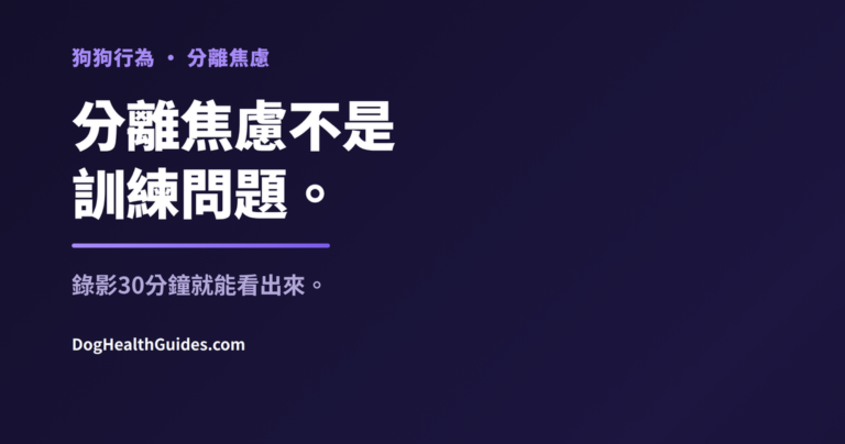 獨自在家表現出焦慮的狗狗，展示真正的分離焦慮與單純無聊的區別