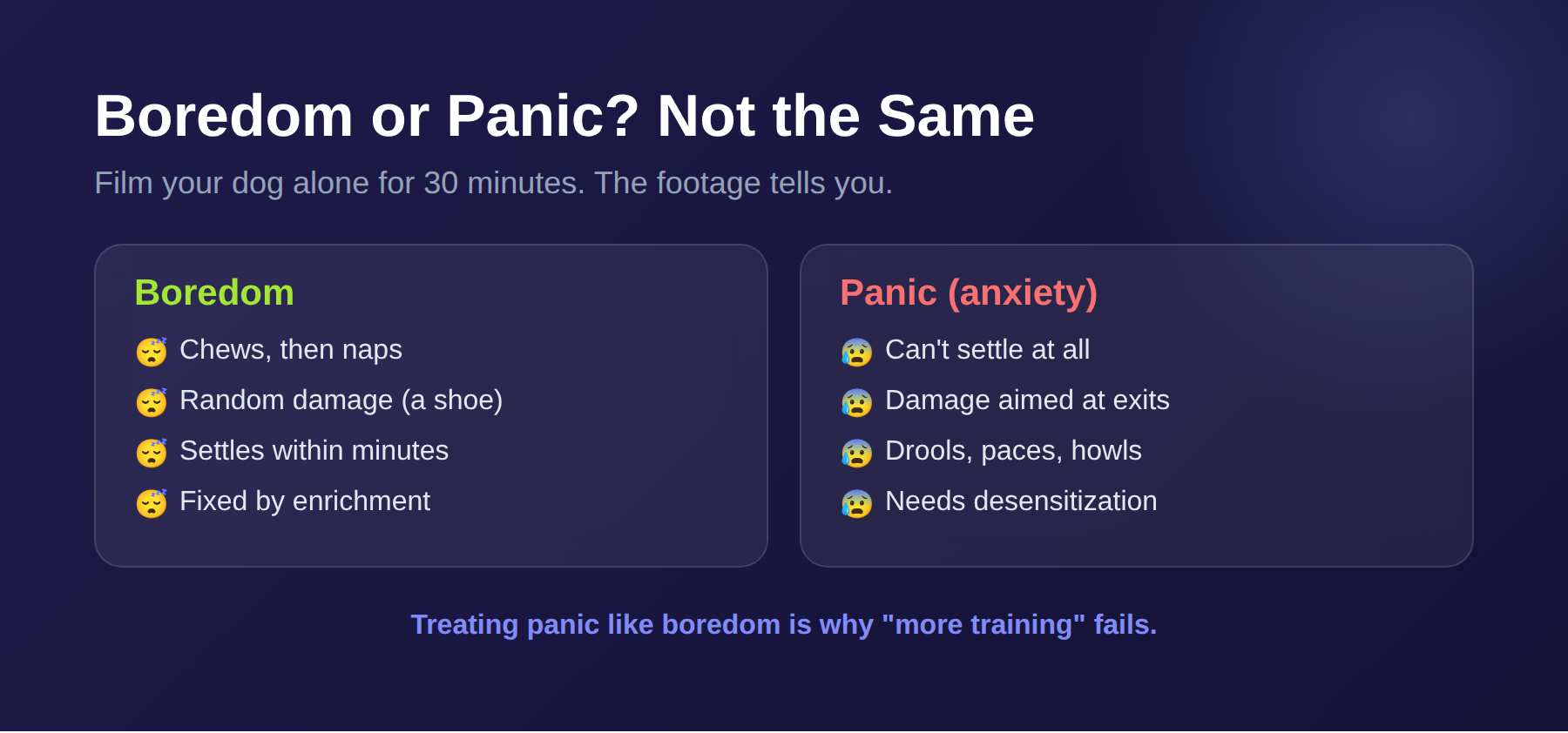 Comparison: boredom versus panic in a dog left alone