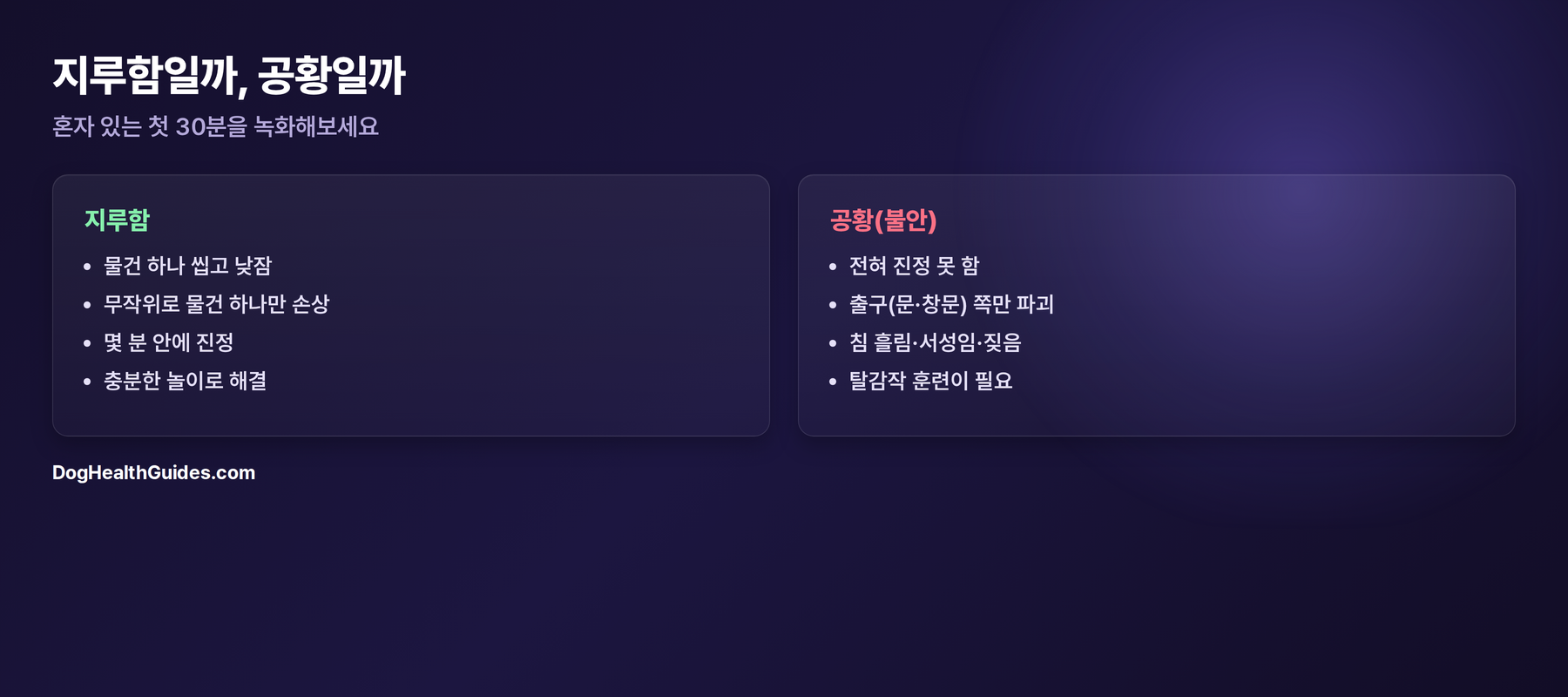 비교: 혼자 남겨진 개의 지루함 vs 공황