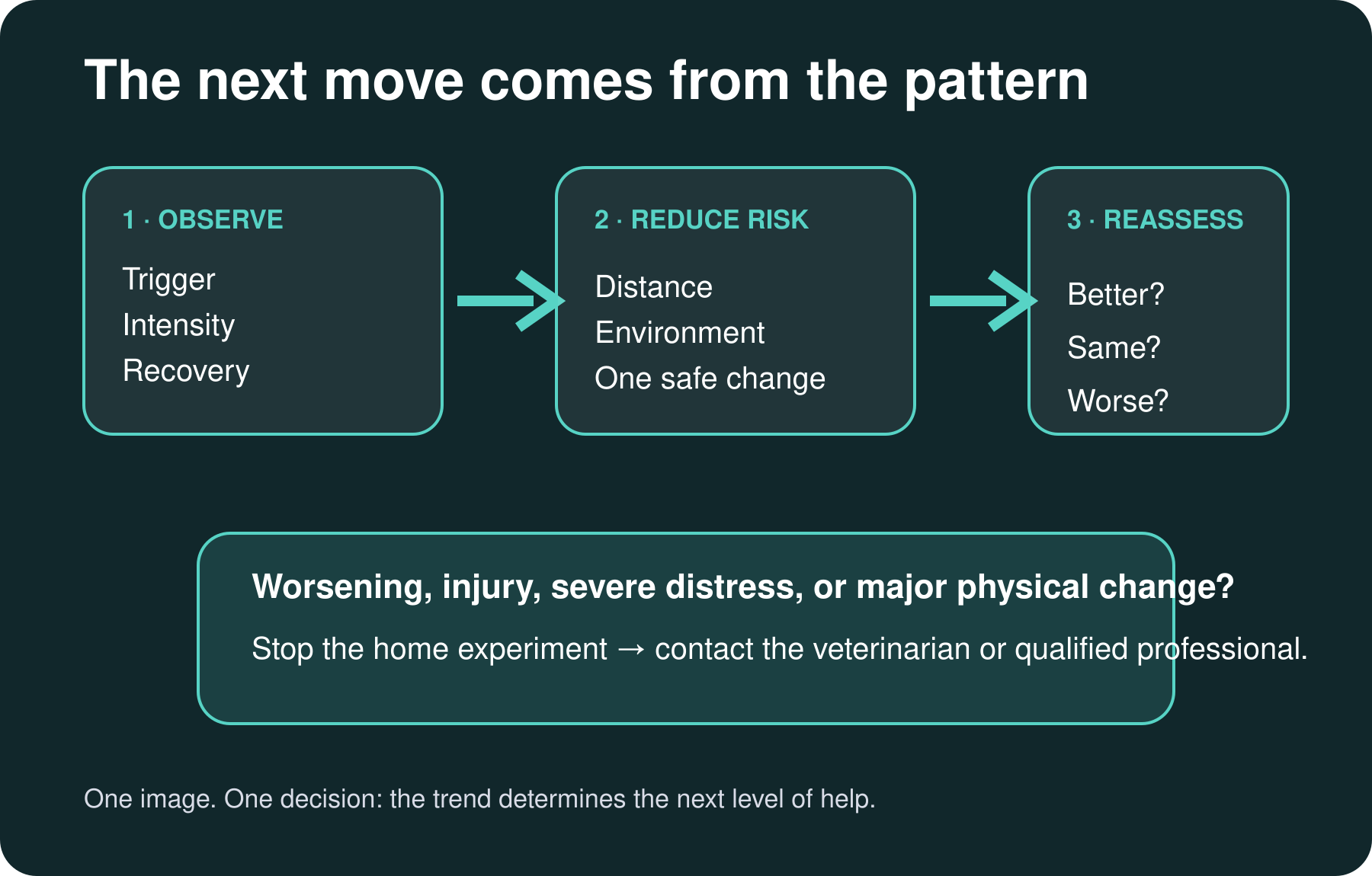Decision path from observation to safe action and professional escalation